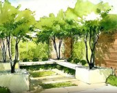 Helen Thomas Garden Design