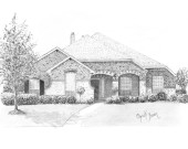 Commissioned Drawing