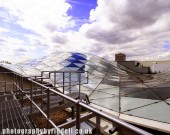 Photography by Riddell