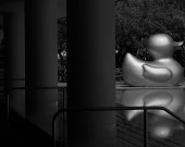JPARRA_IMG_6996