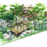 Sentebale Garden -Matt Keightley Chelsea 2015 Sentebale Garden -Matt Keightley Chelsea 2015